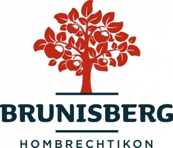 Logo Alters- und Wohnheim Brunisberg